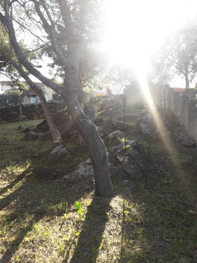 B&B Nuraghes Olbia Dış mekan fotoğraf