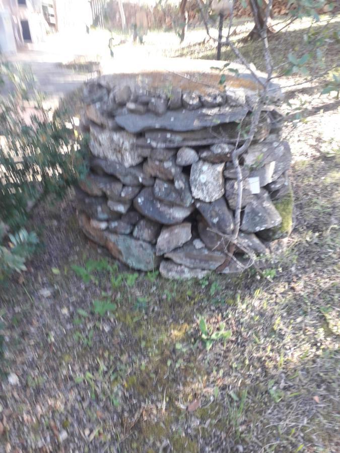 B&B Nuraghes Olbia Dış mekan fotoğraf